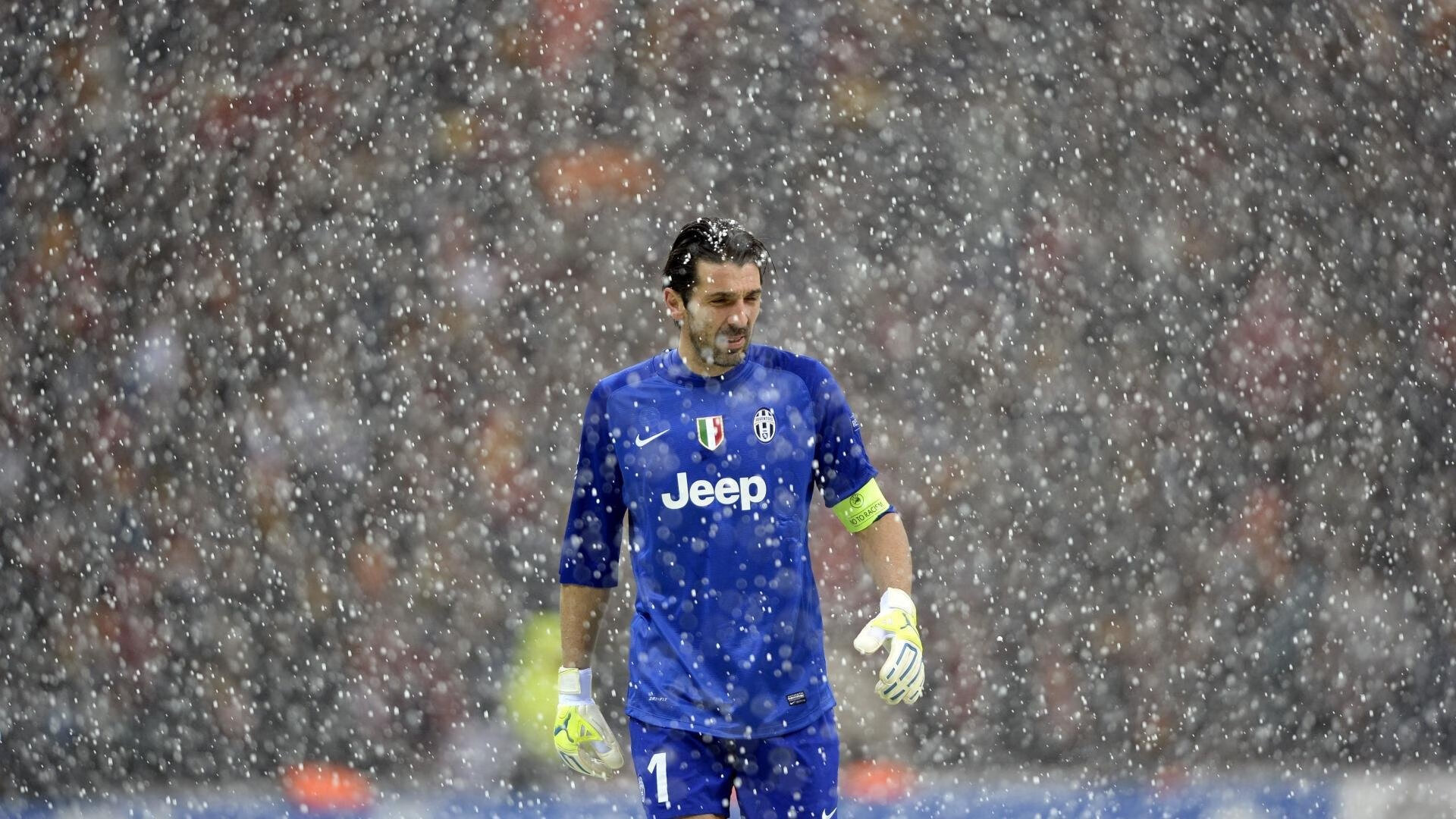 世界游泳系列赛城市站落幕 中国队揽获多金